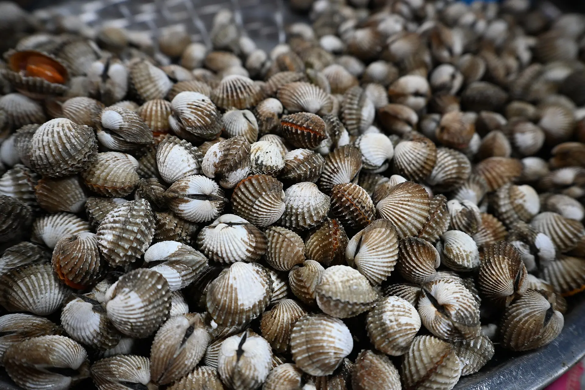 ตลาดทะเลไทย